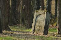 Tachles Spuren Jüdischen Lebens Mittelfranken Thalmaessing